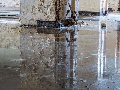 About RiseLayer Team - water damage restoration experts in Cape Coral